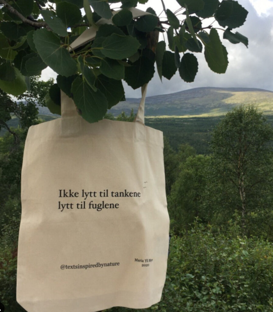 Handlenett med dikt